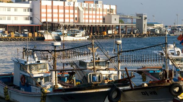 Squid Boats in the Harbour - Sputnik Việt Nam