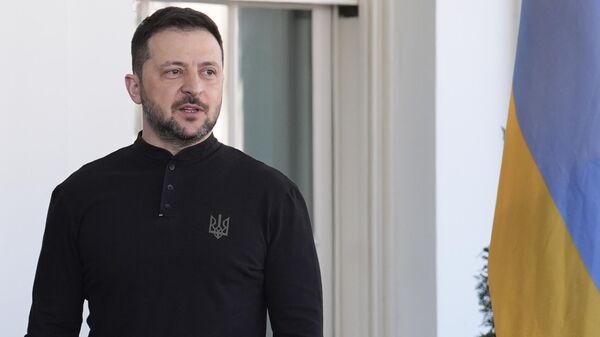 Vladimir Zelensky - Sputnik Việt Nam