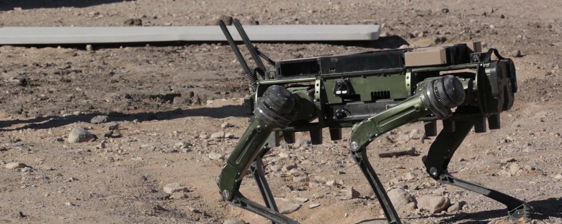 Chó robot - Sputnik Việt Nam, 1920, 18.03.2025