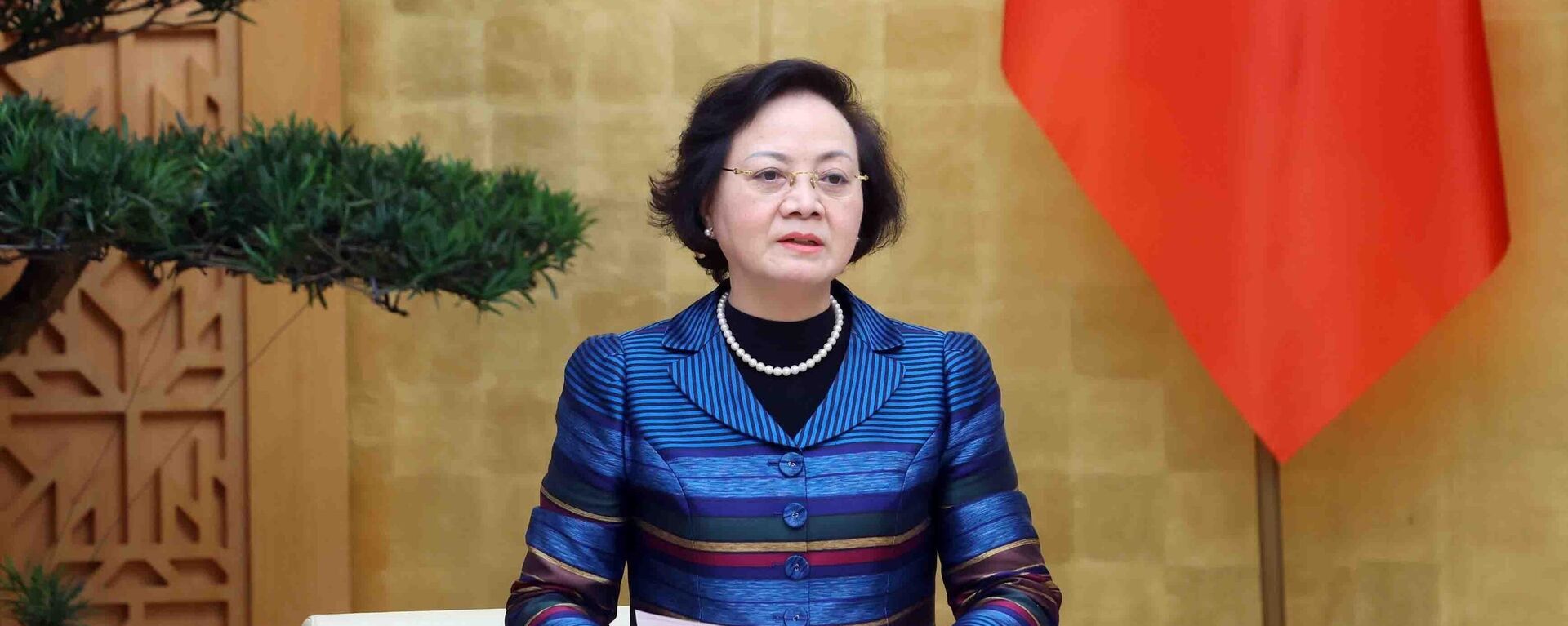 Bộ trưởng Bộ Nội vụ Phạm Thị Thanh Trà phát biểu - Sputnik Việt Nam, 1920, 24.03.2025