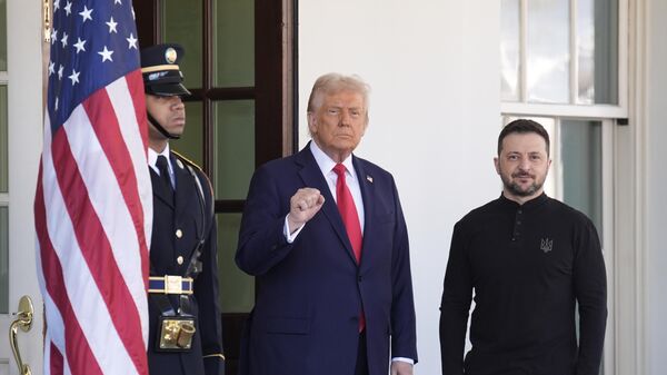 Tổng thống Hoa Kỳ Donald Trump (trái) chào đón Volodymyr Zelensky tại Washington, người đến Hoa Kỳ để ký một thỏa thuận khoáng sản. - Sputnik Việt Nam