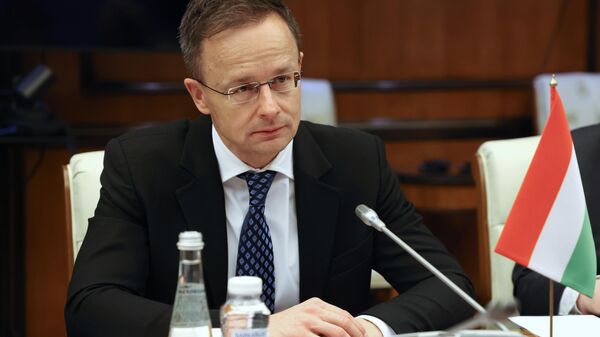 Bộ trưởng Bộ Ngoại giao và Kinh tế đối ngoại Hungary Peter Szijjarto - Sputnik Việt Nam