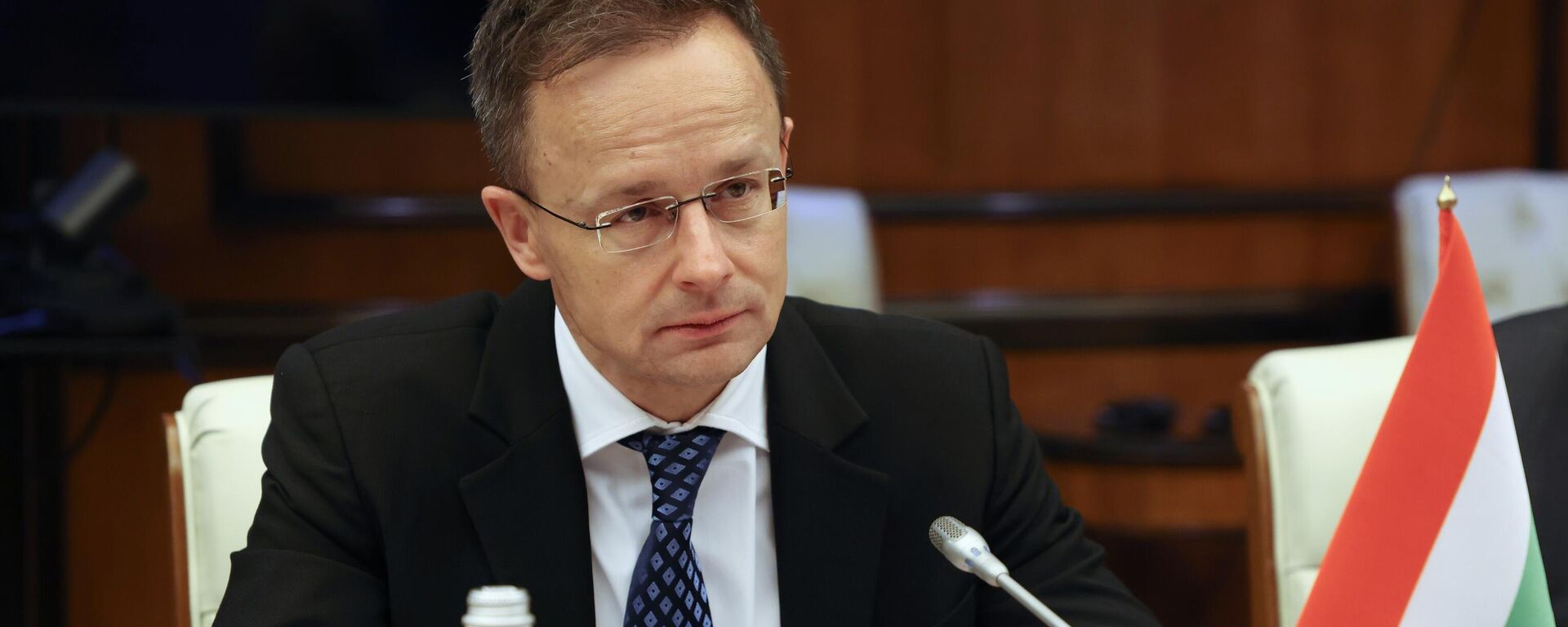 Bộ trưởng Bộ Ngoại giao và Kinh tế đối ngoại Hungary Peter Szijjarto - Sputnik Việt Nam, 1920, 31.03.2025