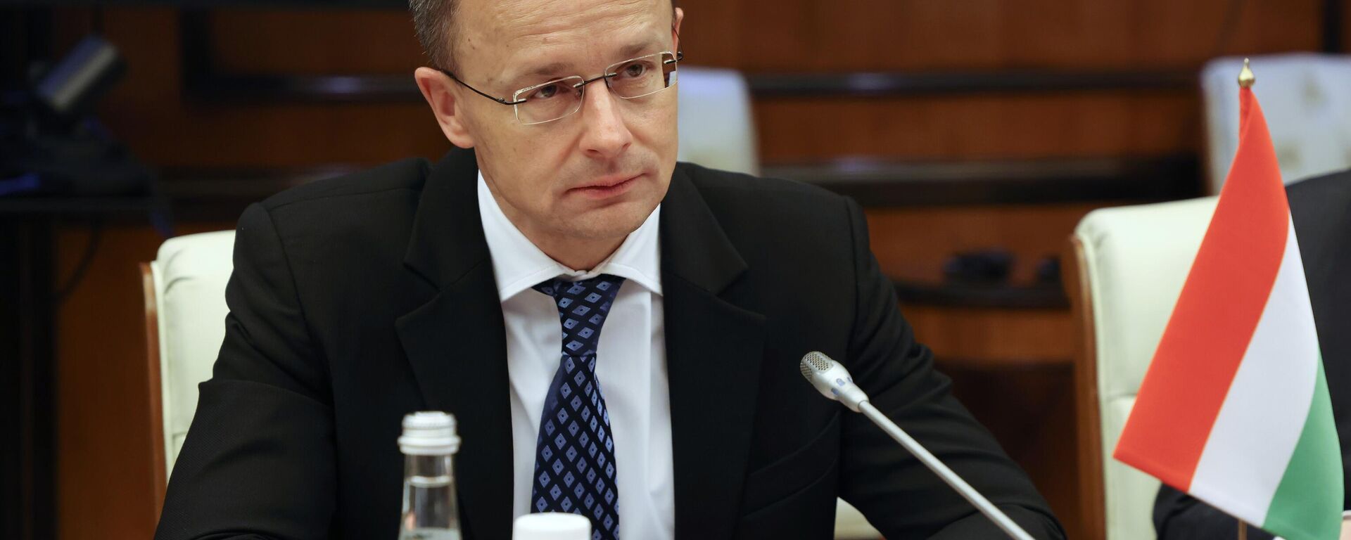 Bộ trưởng Bộ Ngoại giao và Kinh tế đối ngoại Hungary Peter Szijjarto - Sputnik Việt Nam, 1920, 14.04.2025