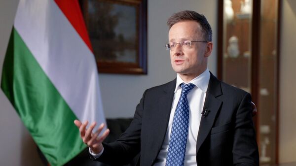 Phỏng vấn Bộ trưởng Ngoại giao Hungary P. Szijjarto với Sputnik - Sputnik Việt Nam