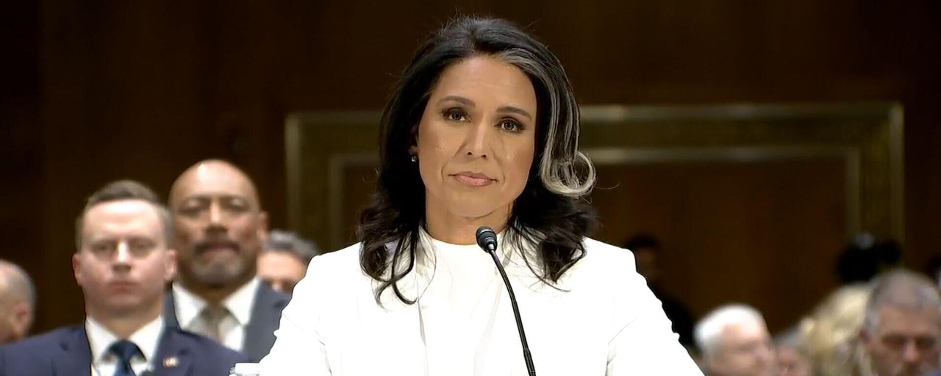Người đứng đầu Cơ quan Tình báo Quốc gia Mỹ Tulsi Gabbard - Sputnik Việt Nam, 1920, 30.03.2025