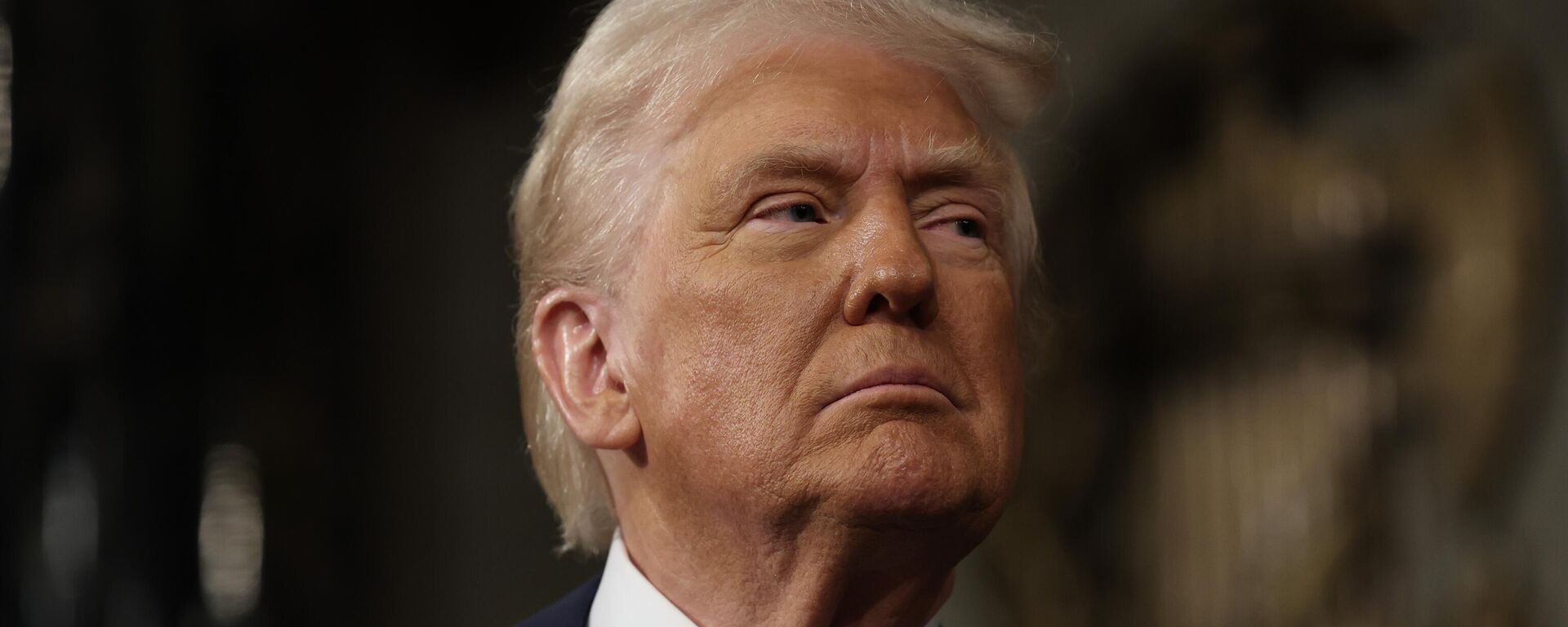 Tổng thống Hoa Kỳ Donald Trump - Sputnik Việt Nam, 1920, 30.03.2025
