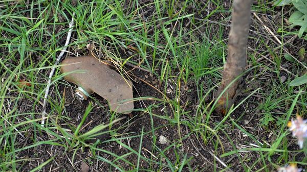 Бойцы Народной милиции ЛНР в районе села Спорное в ДНР - Sputnik Việt Nam