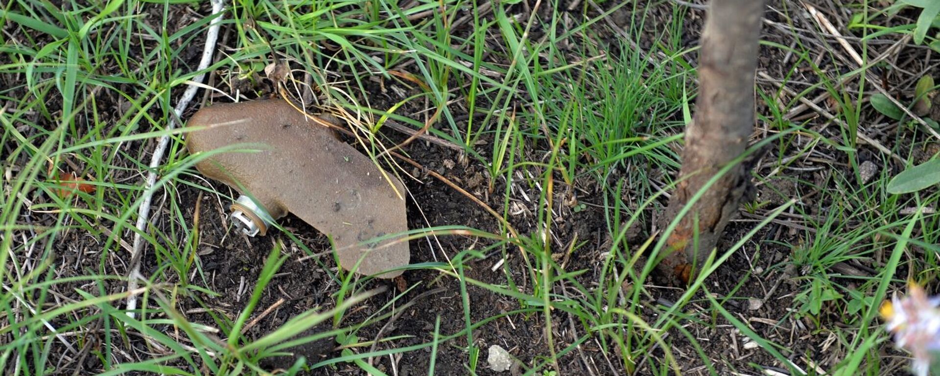 Бойцы Народной милиции ЛНР в районе села Спорное в ДНР - Sputnik Việt Nam, 1920, 28.08.2025