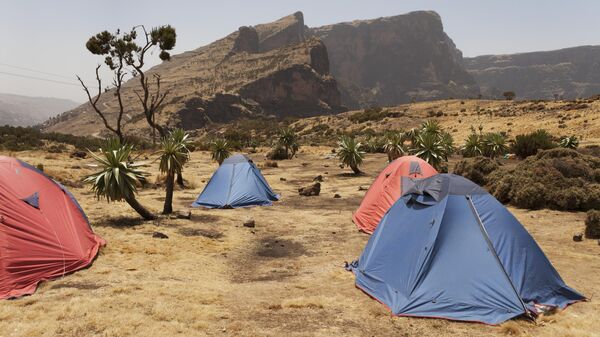 Vườn quốc gia Simien (Ethiopia) - Sputnik Việt Nam