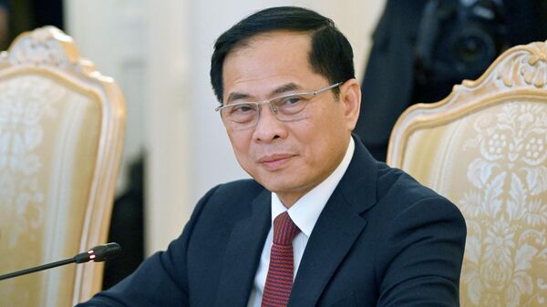 Phó Thủ tướng kiêm Bộ trưởng Ngoại giao nước CHXHCN Việt Nam Bùi Thanh Sơn - Sputnik Việt Nam