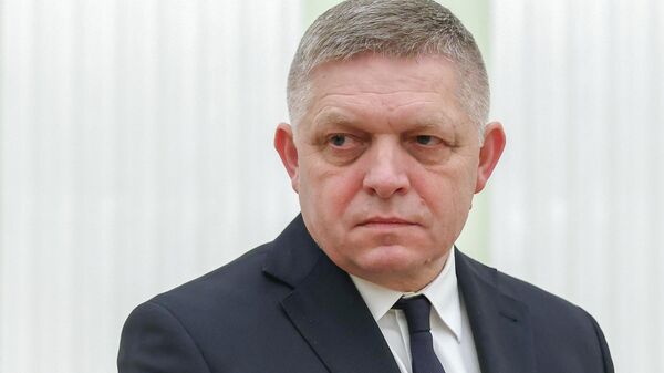 Tổng thống Nga Vladimir Putin đã hội đàm với Thủ tướng Slovakia Robert Fico - Sputnik Việt Nam
