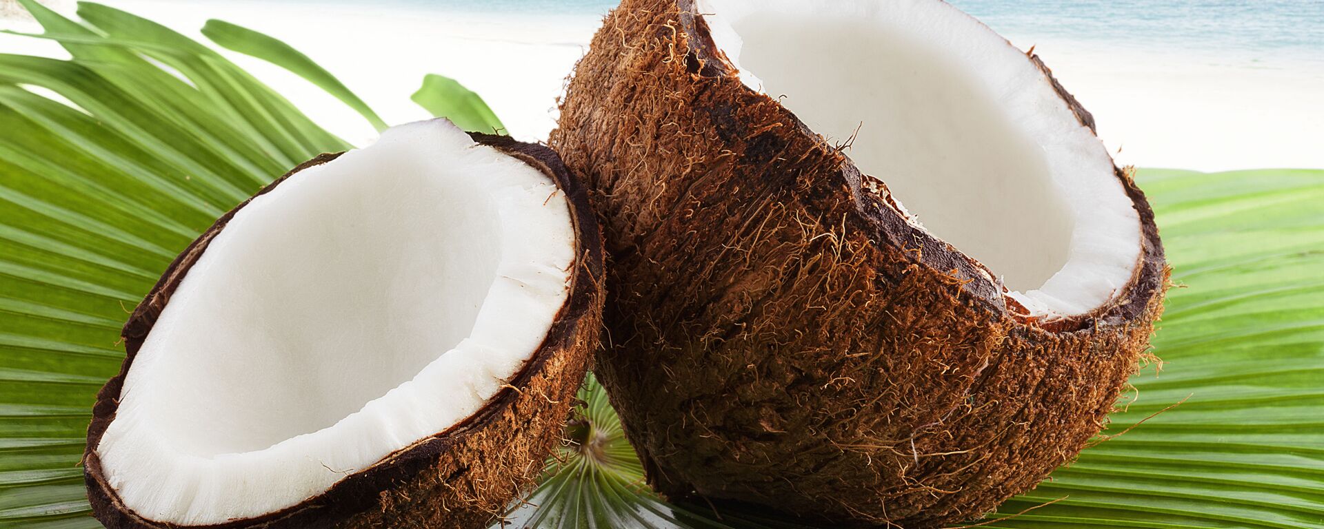 Кокосовый орех на пальмовом листе - Sputnik Việt Nam, 1920, 06.04.2025