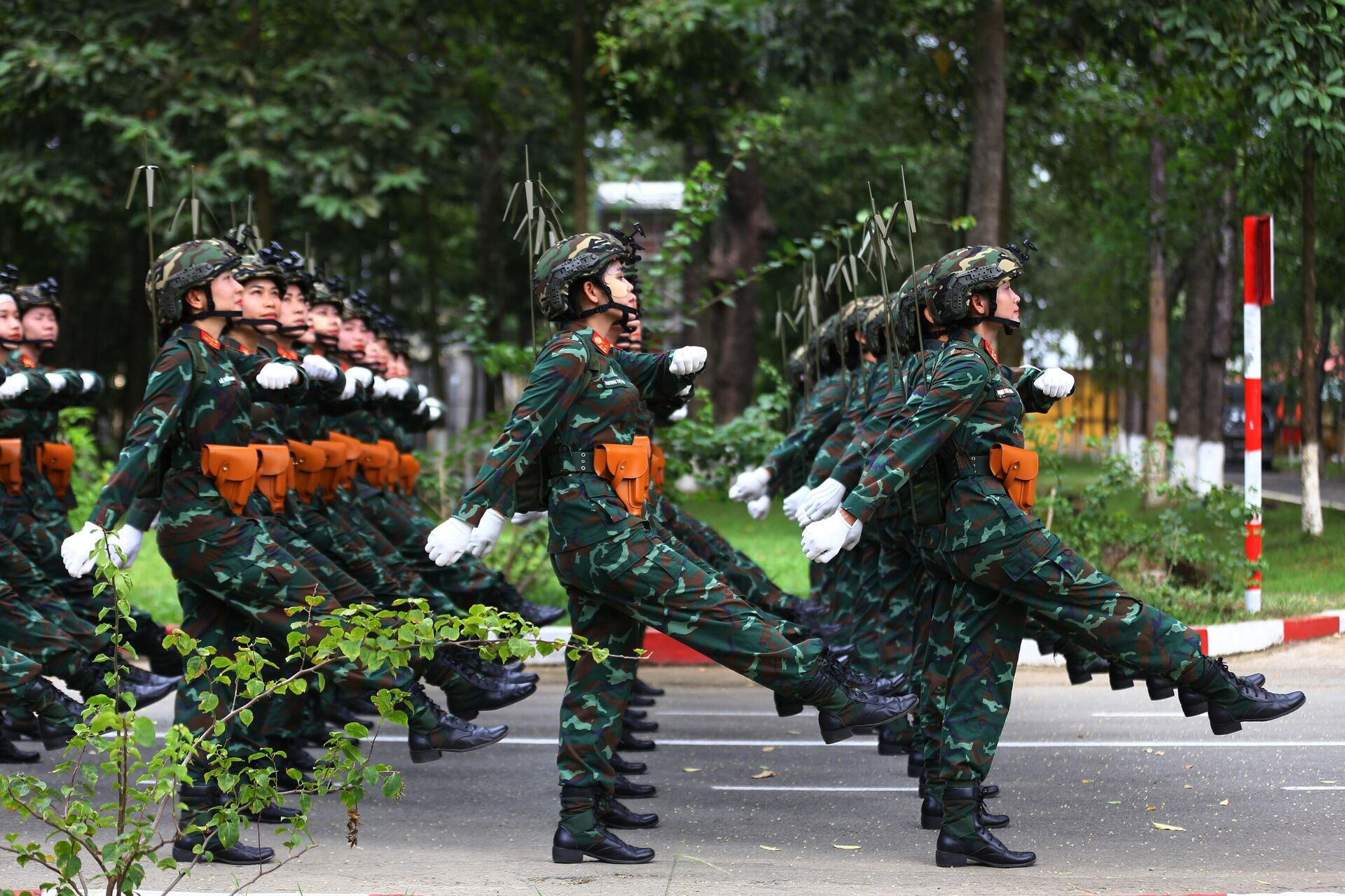 Cán bộ, chiến sĩ luyện tập diễu binh diễu hành dưới nắng nóng gay gắt - Sputnik Việt Nam, 1920, 18.04.2025