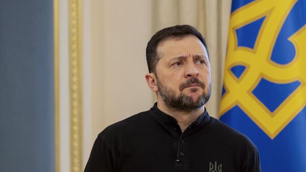 Tổng thống Ukraina Vladimir Zelensky - Sputnik Việt Nam
