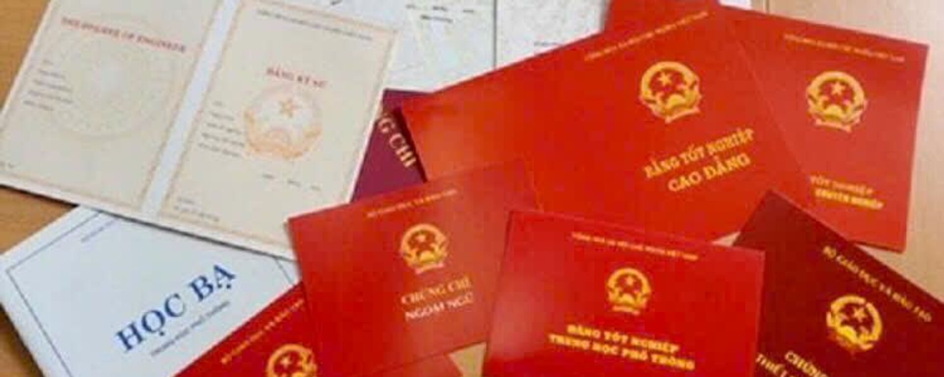 Công an tỉnh Bắc Giang khởi tố 2 đối tượng có hành vi làm, sử dụng văn bằng giả.  - Sputnik Việt Nam, 1920, 27.04.2025