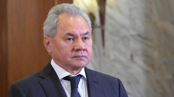 Thư ký Hội đồng An ninh Liên bang Nga Sergei Shoigu - Sputnik Việt Nam