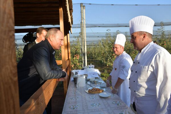 Ngày 9 tháng 10 năm 2018. Tổng thống Nga Vladimir Ông Putin trong chuyến thăm doanh nghiệp nông nghiệp &quot;Rassvet&quot; ở Stavropol Krai - Sputnik Việt Nam