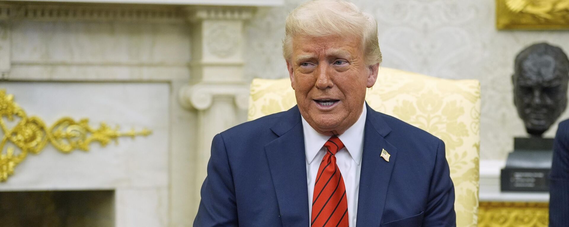 Tổng thống Hoa Kỳ Donald Trump - Sputnik Việt Nam, 1920, 18.06.2025