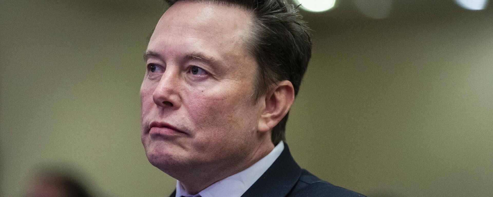 Tỷ phú Elon Musk  - Sputnik Việt Nam, 1920, 29.05.2025