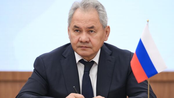 Ông Sergei Shoigu, Thư ký Hội đồng An ninh Liên bang Nga - Sputnik Việt Nam