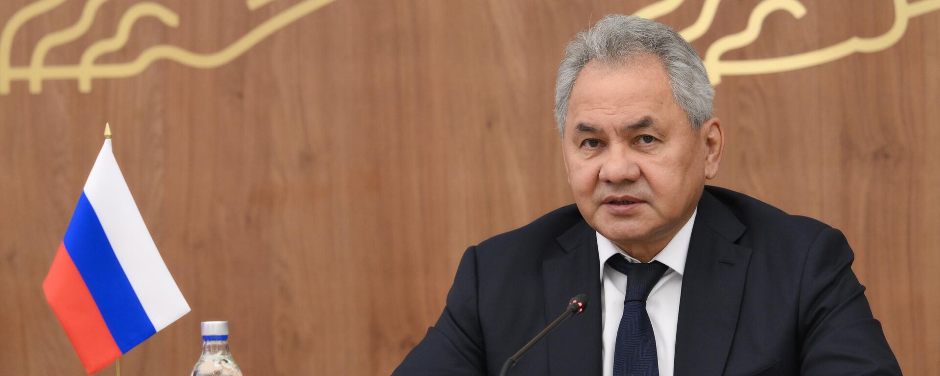 Thư ký Hội đồng An ninh Liên bang Nga Sergei Shoigu - Sputnik Việt Nam, 1920, 11.08.2025