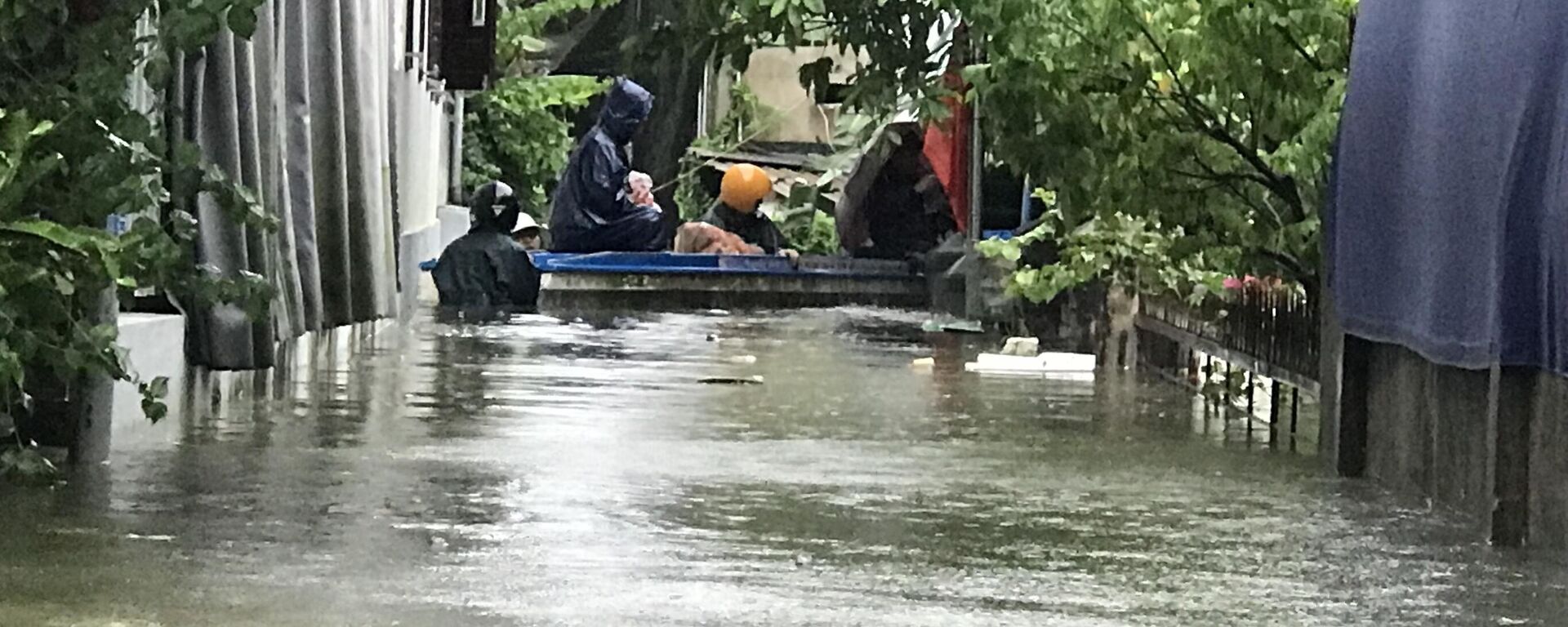 Lũ sông Thạch Hãn đạt báo động 3 gây ngập lụt trên diện rộng ở Quảng Trị  - Sputnik Việt Nam, 1920, 13.06.2025