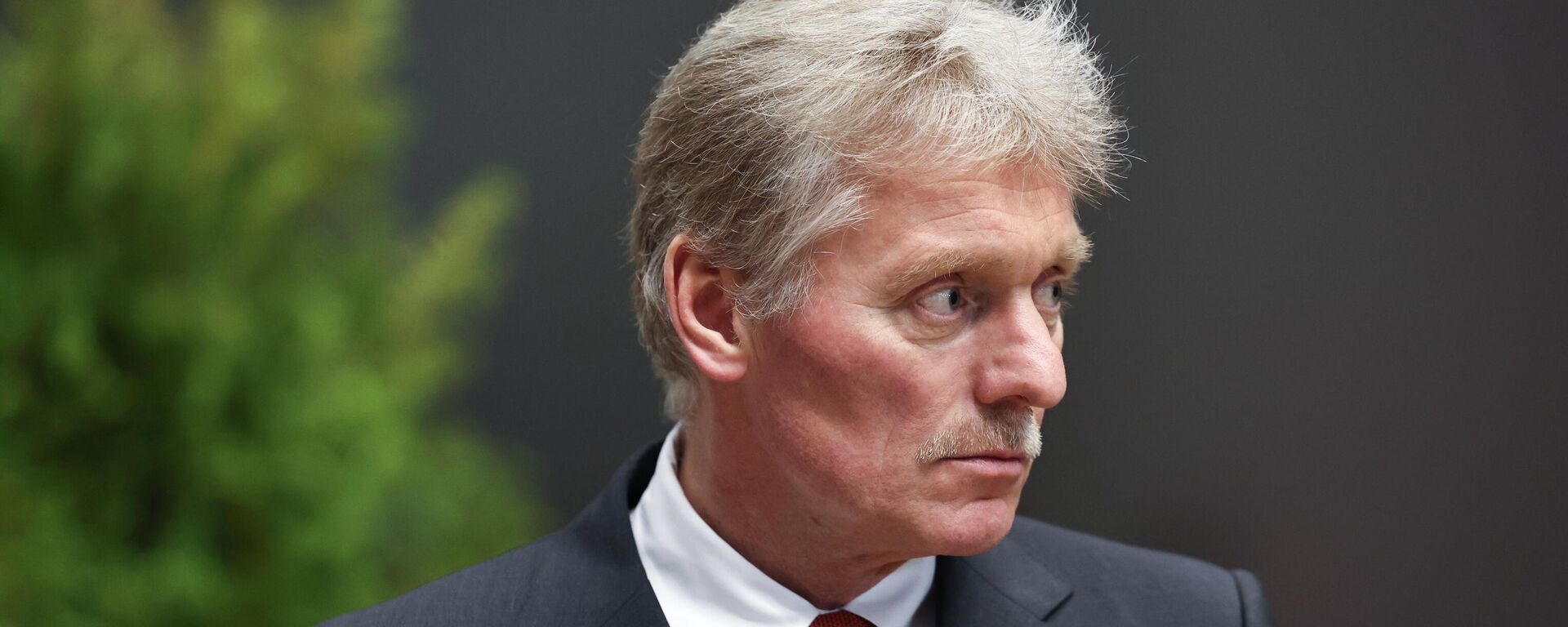 Người phát ngôn Điện Kremlin Dmitry Peskov Người phát ngôn Điện Kremlin Dmitry Peskov - Sputnik Việt Nam, 1920, 24.07.2025