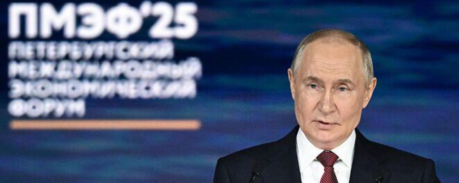 Tổng thống Putin: Quan niệm kinh tế Nga là nền kinh tế nguyên liệu thô đã lỗi thời - Sputnik Việt Nam, 1920, 20.06.2025