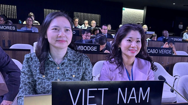 Bà Nguyễn Thị Vân Anh (bên trái), Đại sứ, Trưởng phái đoàn đại diện thường trực của Việt Nam tại UNESCO và TS. Nguyễn Phương Hòa, Cục trưởng Cục Hợp tác quốc tế, Bộ Văn hóa, Thể thao và Du lịch - Sputnik Việt Nam