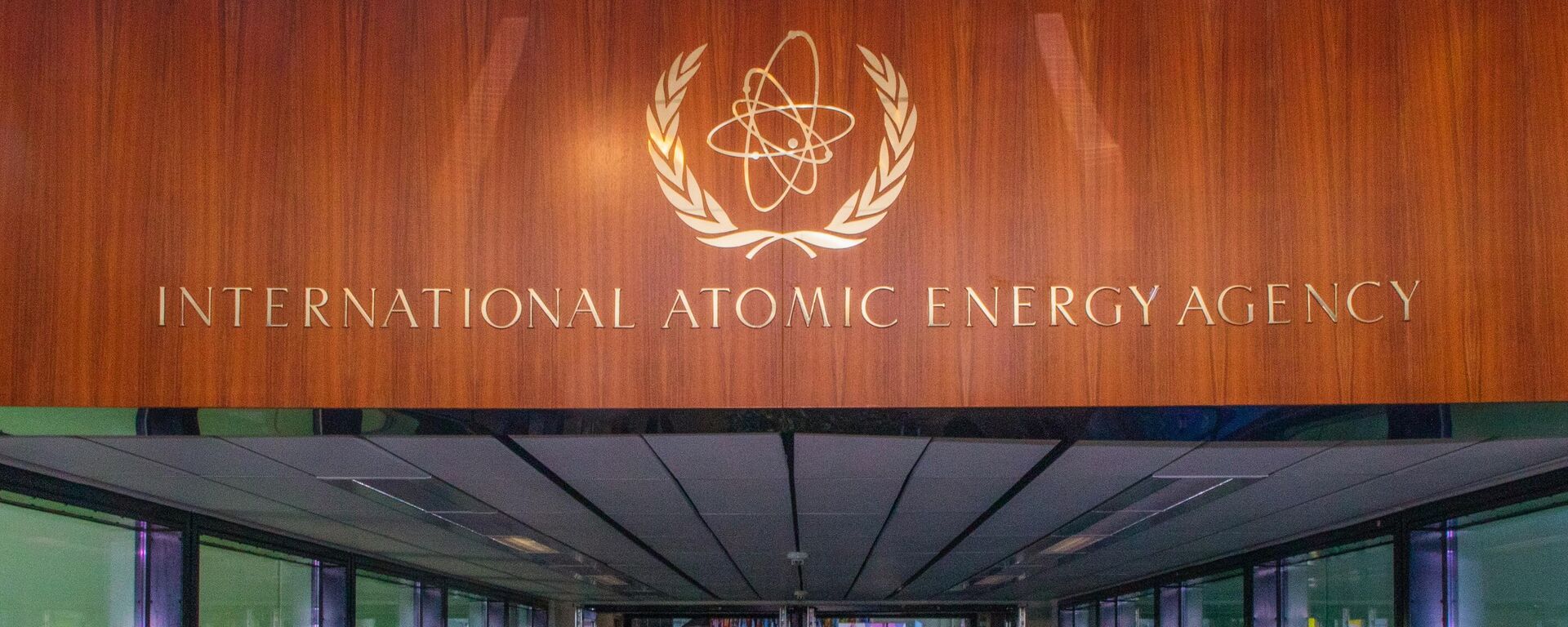 Trụ sở của Cơ quan Năng lượng Nguyên tử Quốc tế (IAEA) tại Vienna - Sputnik Việt Nam, 1920, 25.06.2025