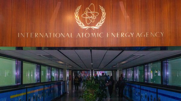 Trụ sở của Cơ quan Năng lượng Nguyên tử Quốc tế (IAEA) tại Vienna - Sputnik Việt Nam