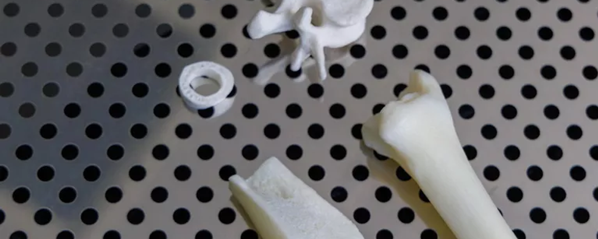 So sánh xương động vật (bên dưới) với các nguyên mẫu làm từ biopolymer có hình dạng lỗ tương tự và cấu trúc giống tự nhiên nhất So sánh xương động vật (bên dưới) với các nguyên mẫu làm từ biopolymer có hình dạng lỗ tương tự và cấu trúc giống tự nhiên nhất - Sputnik Việt Nam, 1920, 24.06.2025