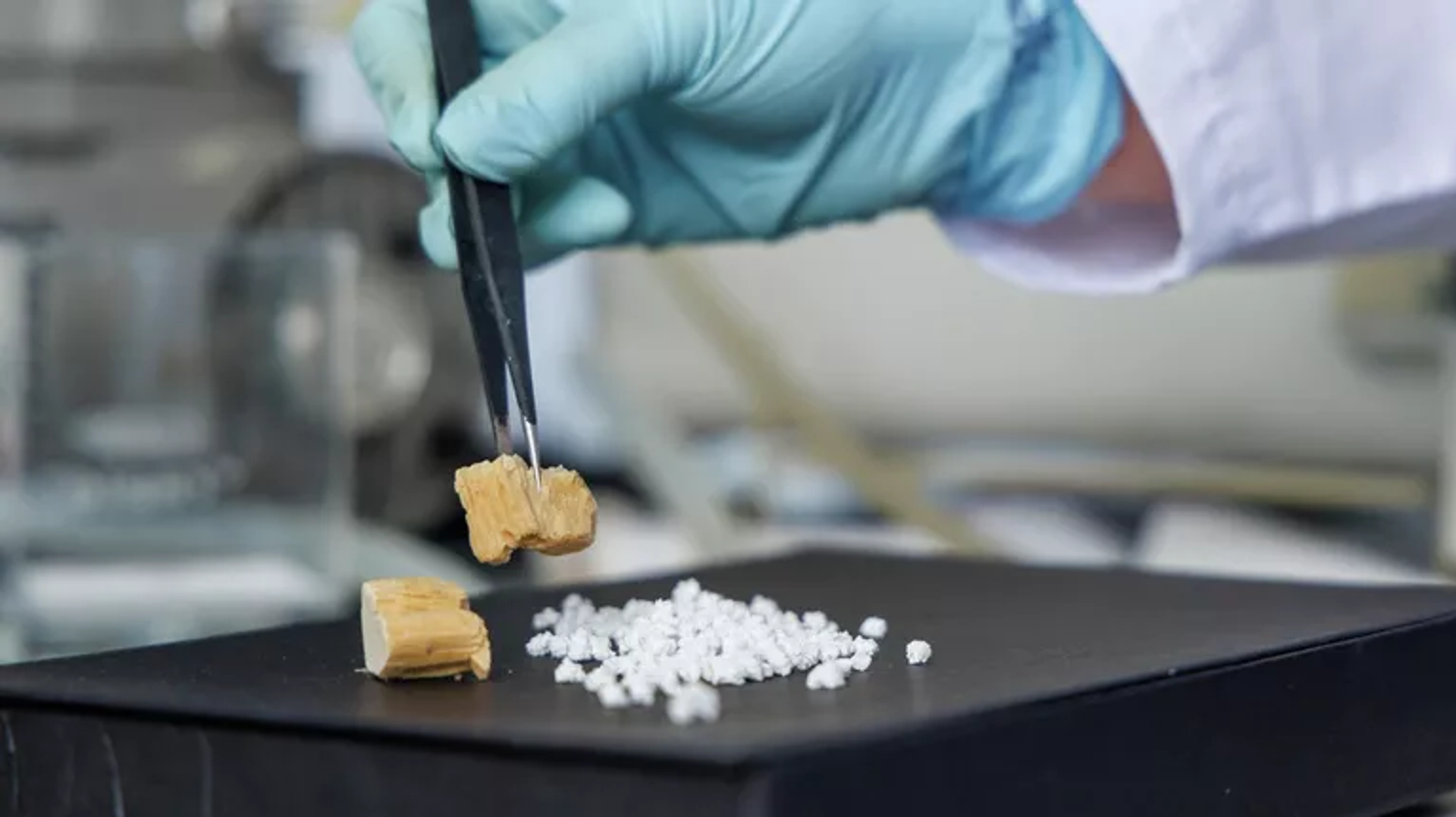 Sinh khối vi khuẩn và polyme tinh khiết (hoặc Từ sinh khối vi khuẩn đến polyme sinh học: khả năng công nghệ sinh học) - Sputnik Việt Nam, 1920, 24.06.2025