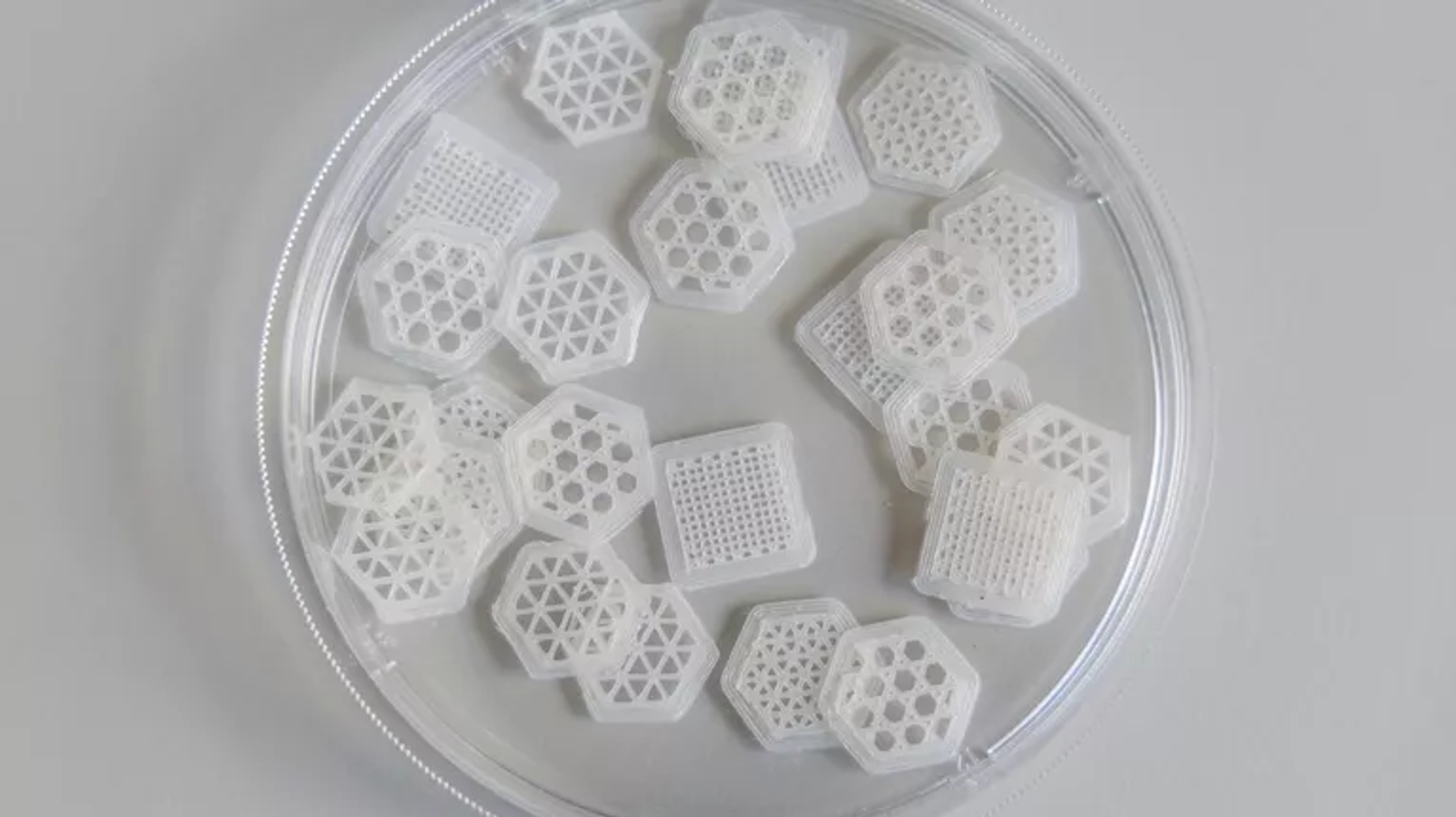 Các mẫu giàn giáo biopolymer có hình dạng lỗ rỗng khác nhau - Sputnik Việt Nam, 1920, 24.06.2025