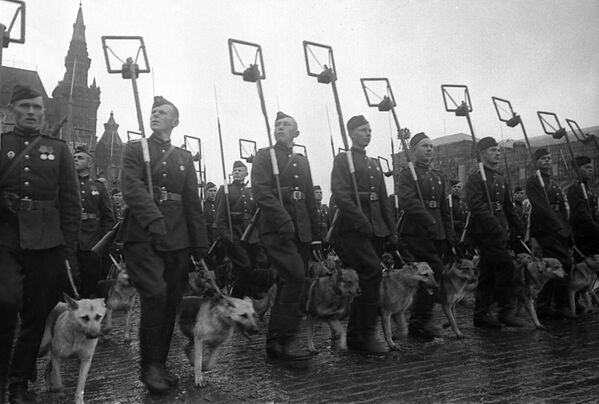 Lễ diễu binh Chiến thắng trên Quảng trường Đỏ 24/6/1945 - Sputnik Việt Nam