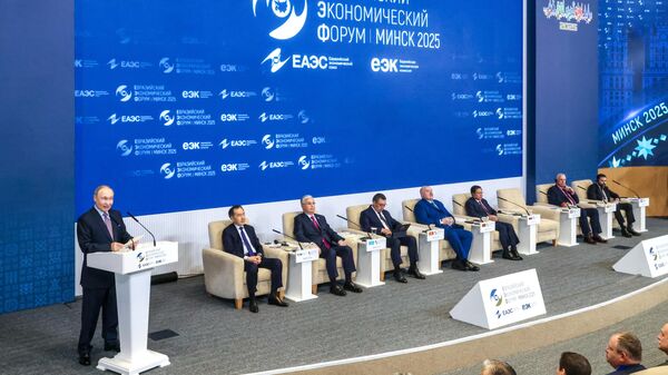 Tổng thống Nga Vladimir Putin tham dự phiên họp toàn thể của Diễn đàn Kinh tế Á-Âu lần thứ IV tại Minsk - Sputnik Việt Nam