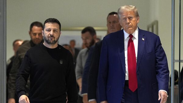 Vladimir Zelensky và Donald Trump - Sputnik Việt Nam
