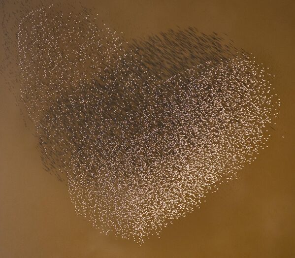 Tác phẩm "Heart of Africa" ("Trái Tim Châu Phi") của nhiếp ảnh gia Úc David Mierowsky – nằm trong Top 101 của cuộc thi The Inaugural International Aerial Photographer of the Year 2025 Tác phẩm "Heart of Africa" ("Trái Tim Châu Phi") của nhiếp ảnh gia Úc David Mierowsky – nằm trong Top 101 của cuộc thi The Inaugural International Aerial Photographer of the Year 2025 - Sputnik Việt Nam