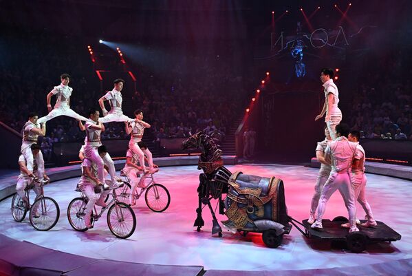 Nhóm nhào lộn trên xe đạp “Wind Chaser – Men’s Cycling Skills” (Trung Quốc) tại Lễ hội Xiếc Quốc tế “Idol-2025” tại Rạp Xiếc quốc gia Lớn Moskva trên đại lộ Vernadsky Nhóm nhào lộn trên xe đạp “Wind Chaser – Men’s Cycling Skills” (Trung Quốc) tại Lễ hội Xiếc Quốc tế “Idol-2025” tại Rạp Xiếc quốc gia Lớn Moskva trên đại lộ Vernadsky - Sputnik Việt Nam