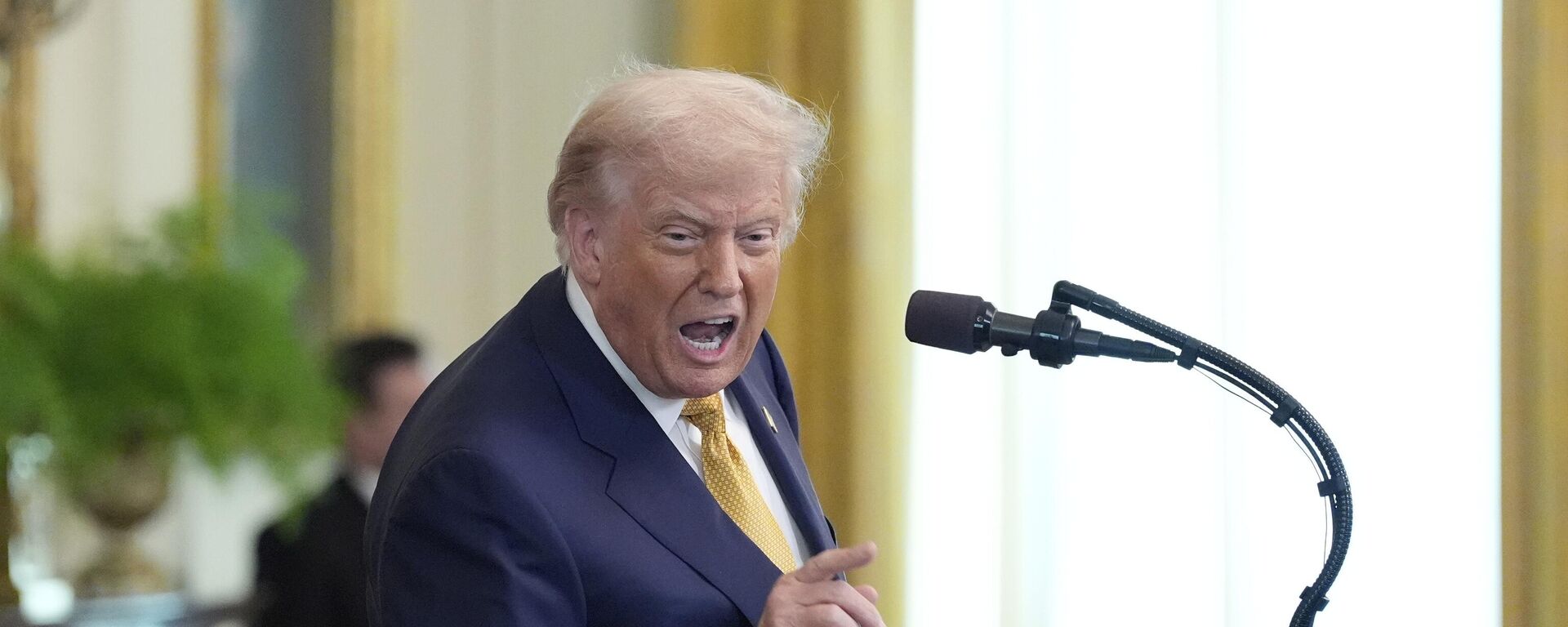 Tổng thống Mỹ Donald Trump - Sputnik Việt Nam, 1920, 28.07.2025