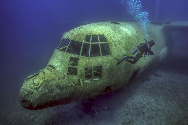 Máy bay vận tải C-130 trên vùng biển Biển Đỏ ở Jordan - Sputnik Việt Nam