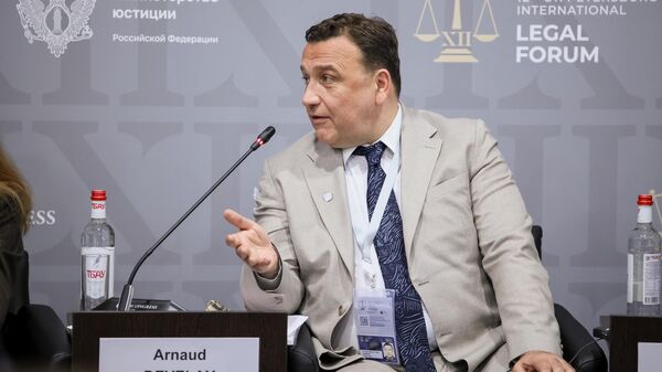 Luật sư Pháp kiêm chuyên gia luật quốc tế Arnaud Develay - Sputnik Việt Nam