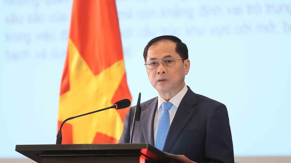 Phó Thủ tướng, Bộ trưởng Ngoại giao Bùi Thanh Sơn phát biểu - Sputnik Việt Nam