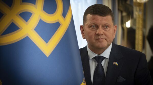 Valeriy Zaluzhny - Sputnik Việt Nam