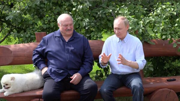Tổng thống Nga Putin khẳng định các điều kiện của Nga về Ukraina là không thay đổi - Sputnik Việt Nam