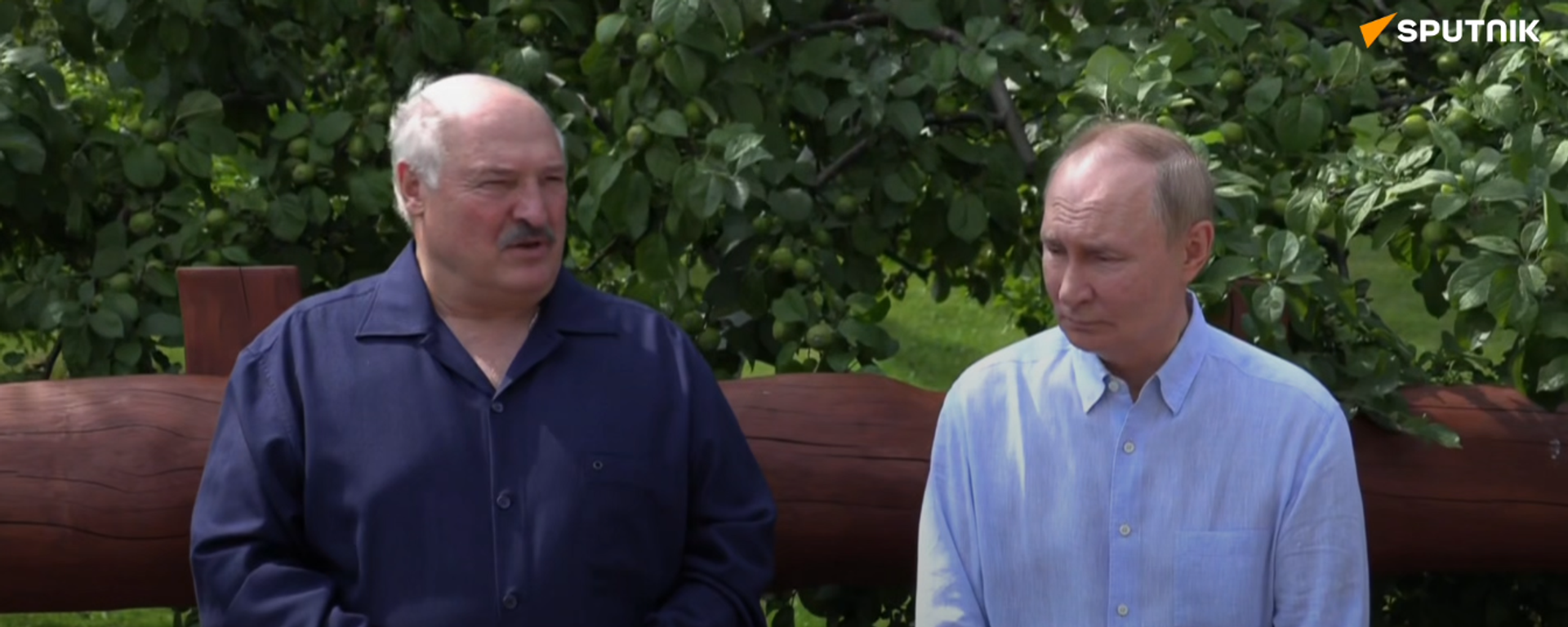 Công bố video đầy đủ về phát biểu của Putin và Lukashenko trả lời câu hỏi của các nhà báo - Sputnik Việt Nam, 1920, 01.08.2025