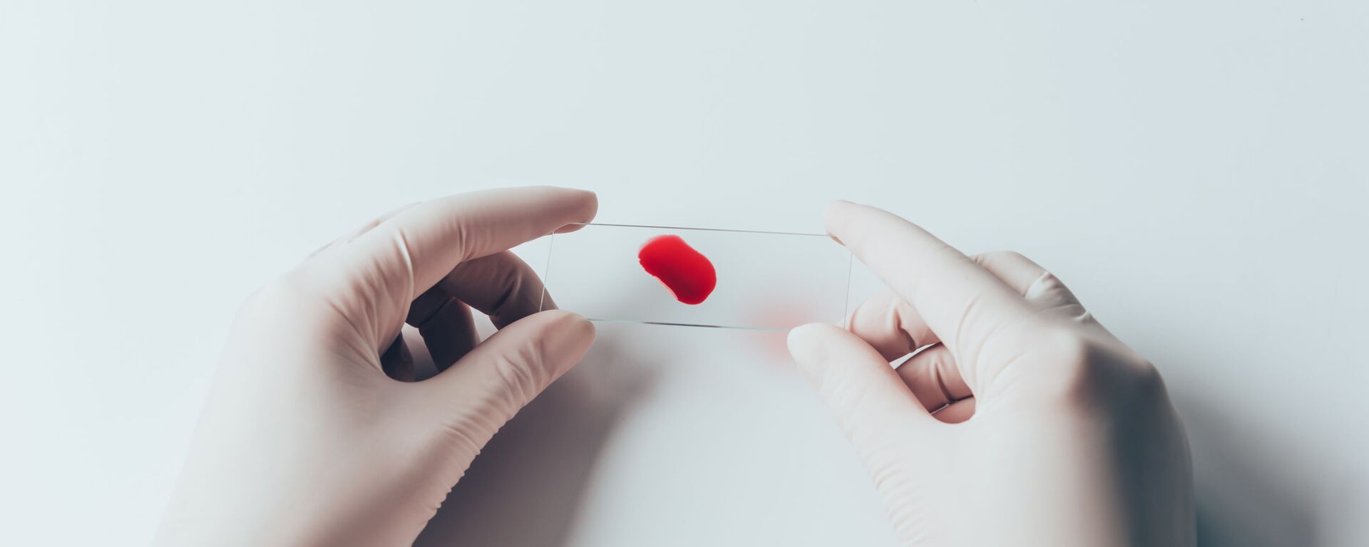 Máu - Sputnik Việt Nam, 1920, 05.08.2025