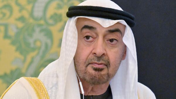 Cuộc gặp giữa Tổng thống Nga Vladimir Putin và Tổng thống UAE Mohammed bin Zayed Al Nahyan - Sputnik Việt Nam