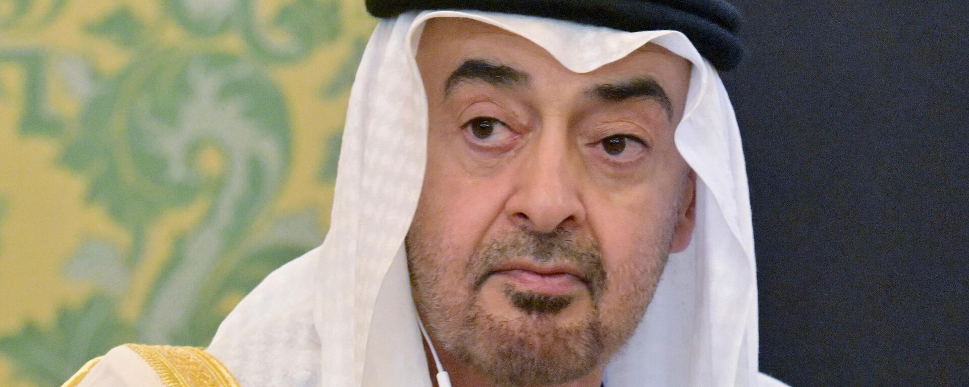 Cuộc gặp giữa Tổng thống Nga Vladimir Putin và Tổng thống UAE Mohammed bin Zayed Al Nahyan - Sputnik Việt Nam, 1920, 23.01.2026